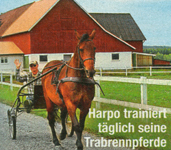 Freizeitrevue Harpo 4